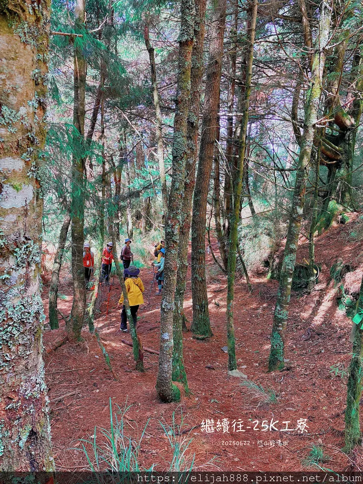 【閂山鈴鳴。兩日50公里百岳行】海拔3272公尺 鈴鳴山-