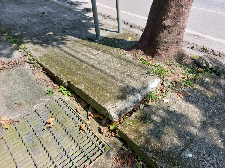 人行道路面遭樹根頂起 / 資料來源:林鴻鈞@並木居