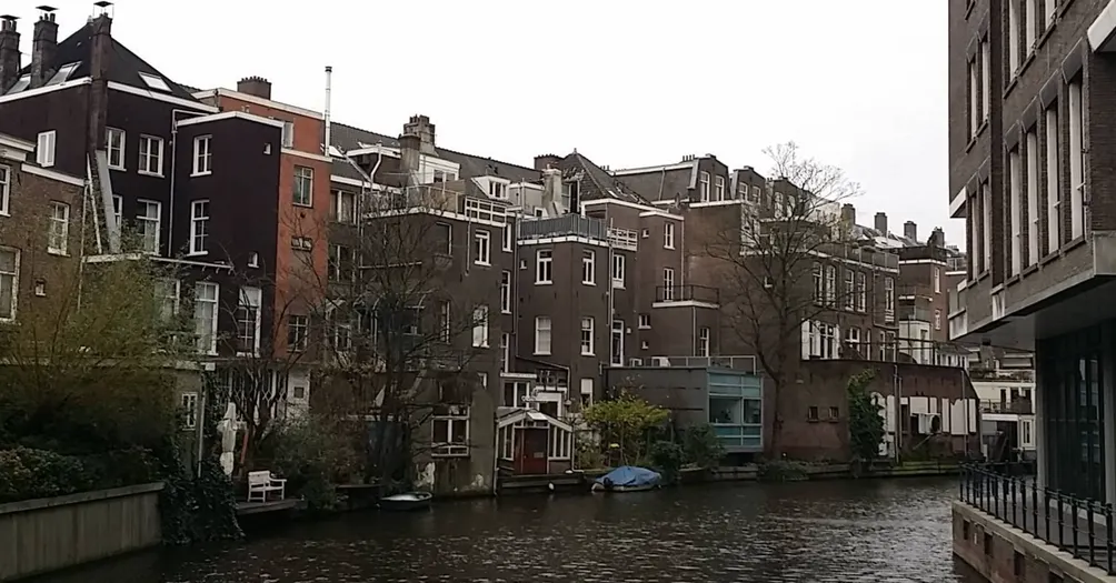 職場貓型人的日常手札