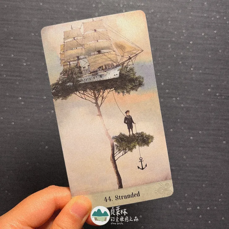 你的付出與辛勤 不因外在的不理解而被打折