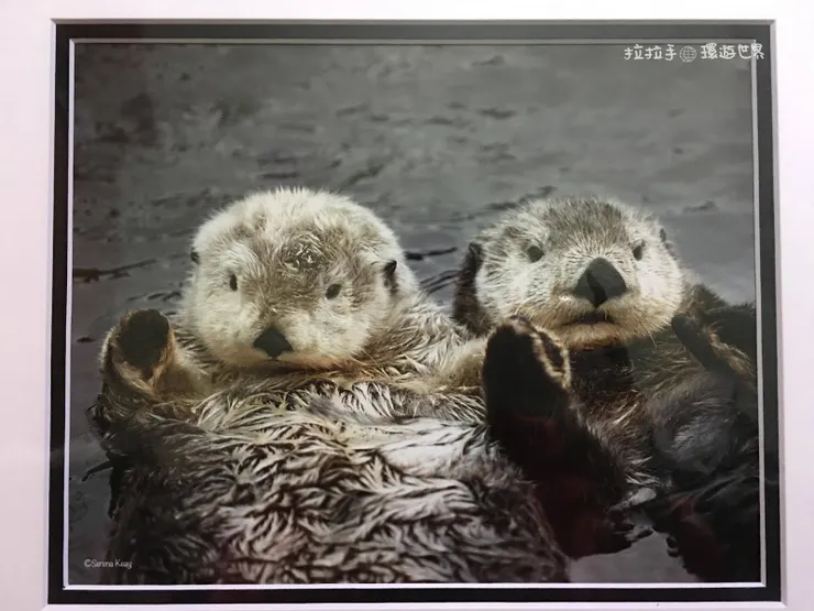 攝影師 Serena Keay