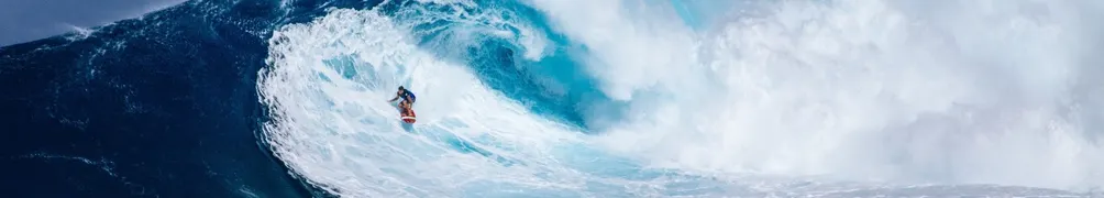 渤海小吏的沙龍