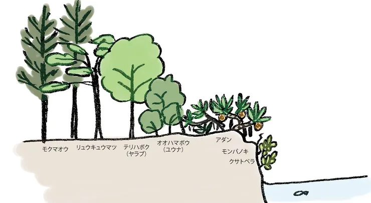 Photo from yarabutree.com