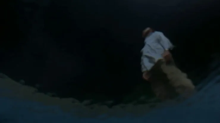 21.《水中的女人》（Lady in the Water，2006）🇺🇸