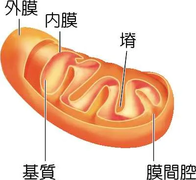 取自於翰林雲端學院