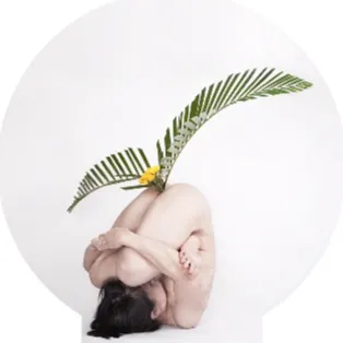 Crystal Hee的沙龍