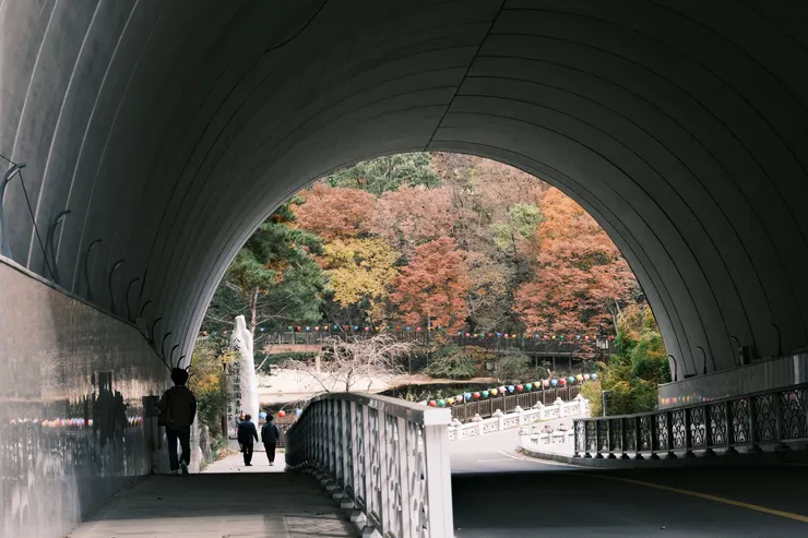 往桐華寺的路上會經過一個隧道，過了就代表目的地不遠了。