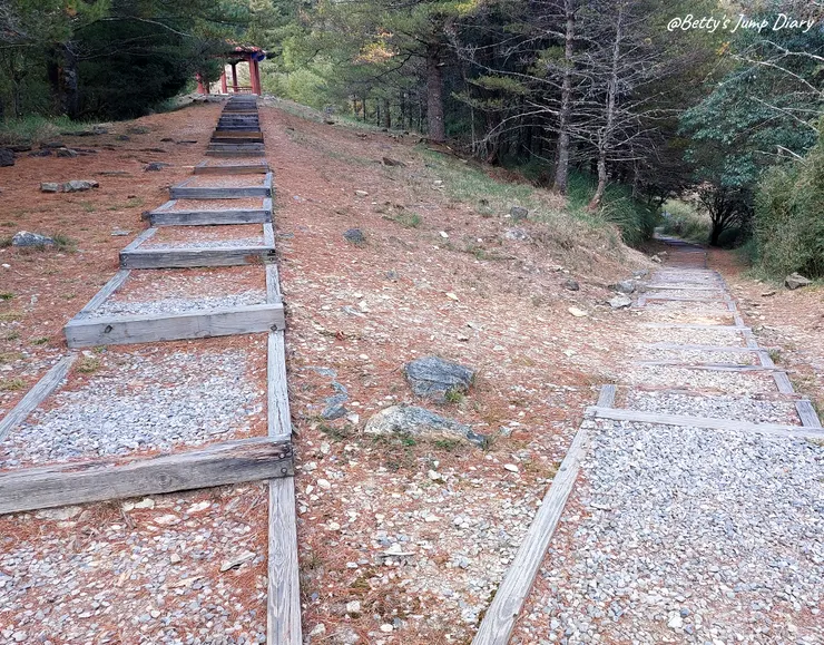 ▲台中「大雪山國家森林遊樂區」/圖片來源：Betty's Jump Diary