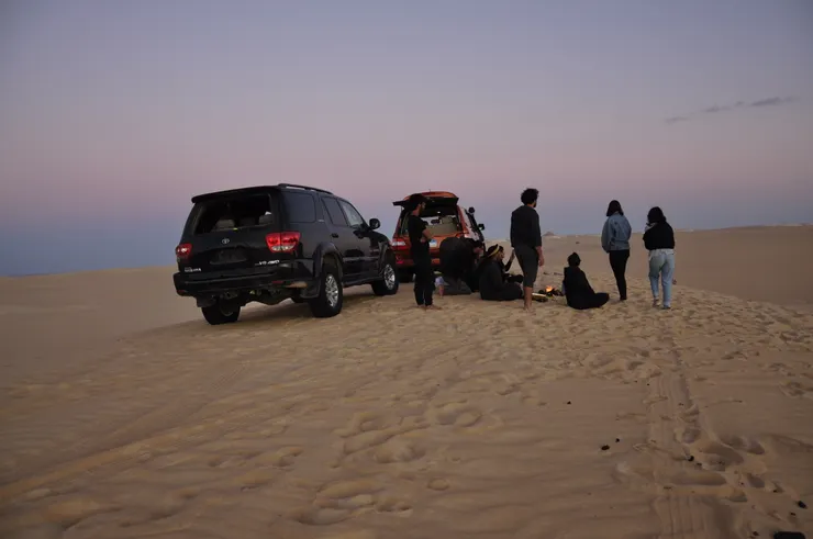 大沙海中的一景