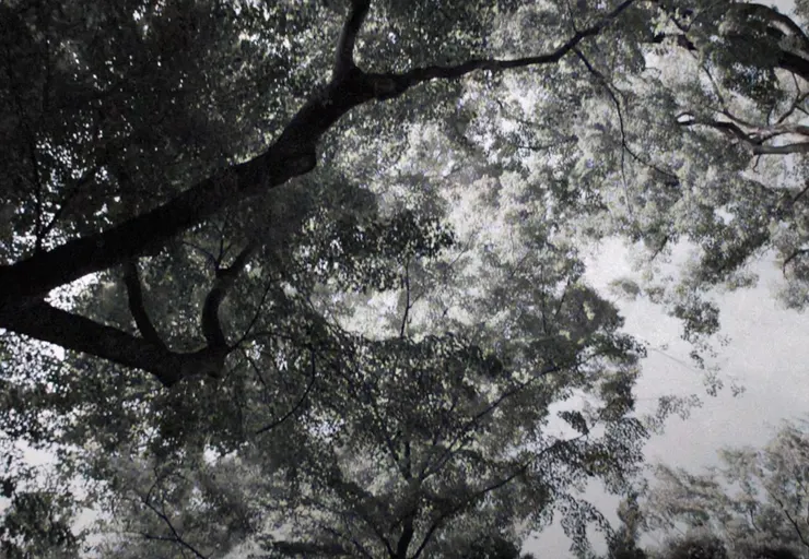 我的完美日常 | 評價 8.3/10 | awwrated