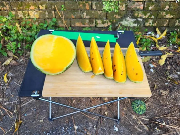 ▲接駁邱大大開車技術精湛，還特地在我們行程結束後準備冰涼的小玉，讓大家消暑解渴，真的是非常專業的接駁服務。