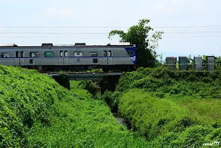 交會點西側(往烏樹林方向拍攝)