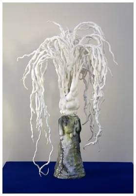 王玉花博士作品