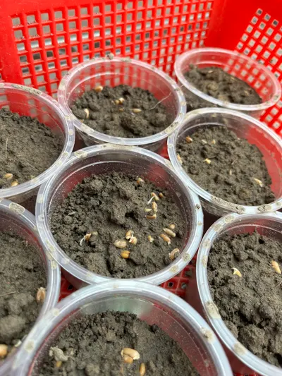 段考越來越近了，這時候就要放鬆心情