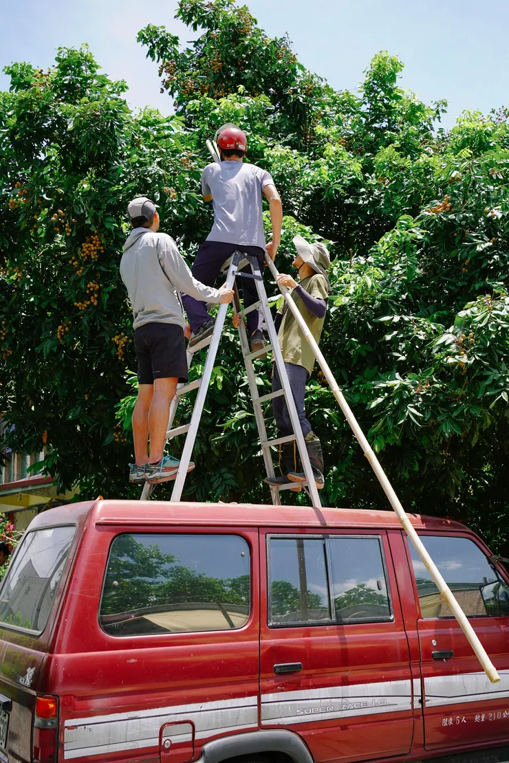 採完低處，動員各種工具向上爬 （圖 / 麋鹿太太）