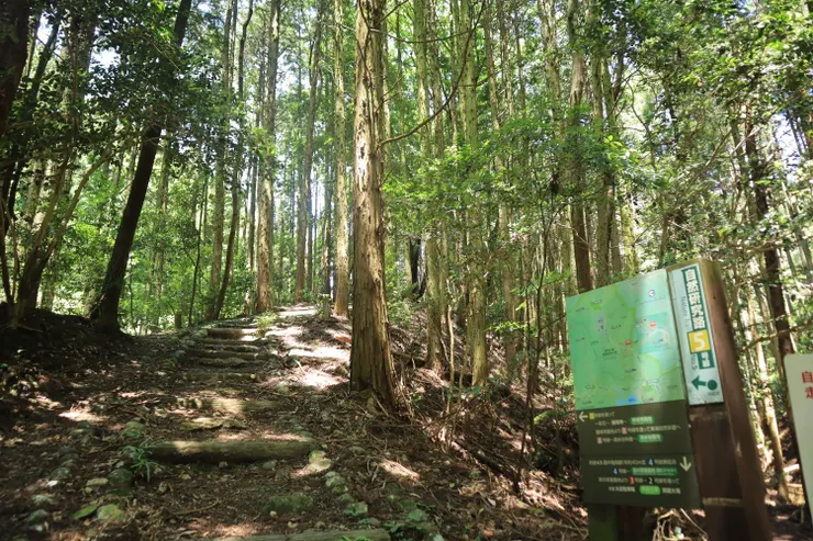 走進來沒多久，也有看板指引