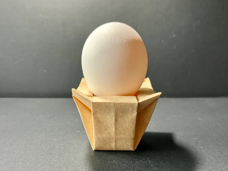 四瓣斗OPS與雞蛋