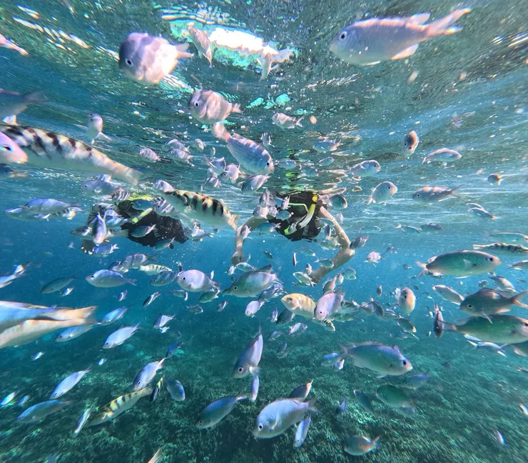 菲律賓宿務遊學週末去跳島浮潛