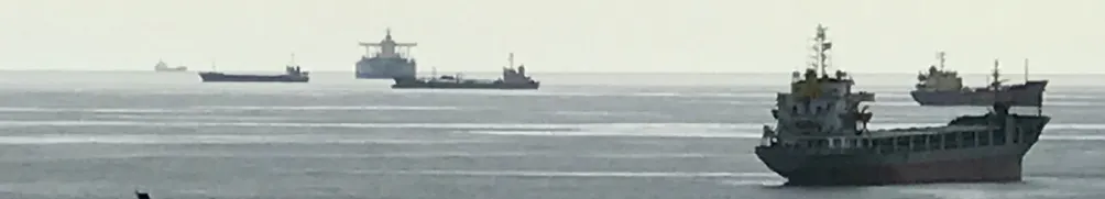 南方大月的沙龍