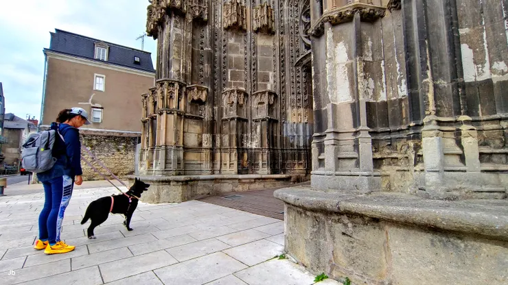 【我們進大教堂參觀,阿肥只能在外觀望了。】