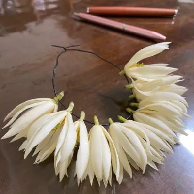 日日一兀的沙龍