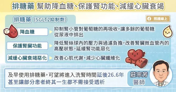 排糖藥能同時照顧「血糖、心臟、腎臟」三大面向