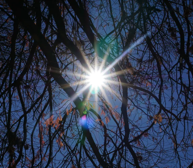 歡迎來到奇蹟放送所，我是Miracle。