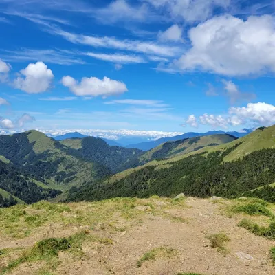 迷途羔羊的沙龍