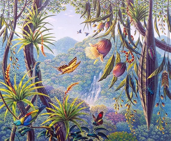 叢林中的生命(Lives in the Forest , 2002)