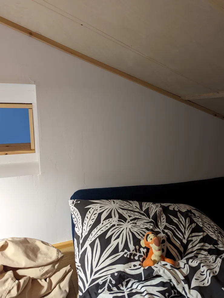 虎生依舊很不錯