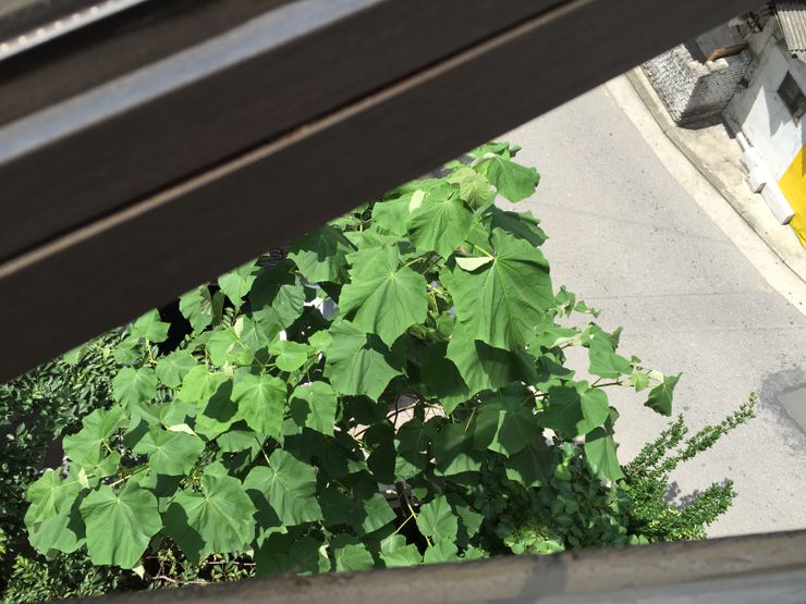 吳政美之生活紀錄。/影像提供:時報出版(© 오정미)