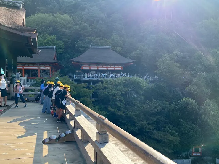 8:30左右本堂的清水舞台人潮不算多，但是有很多戶外教學的小學生和中學生一群一群的來。