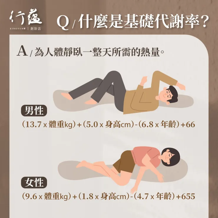 行蘊QA｜什麼是基礎代謝率&nbsp;？
