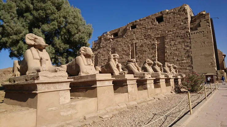 盧克索神廟外的阿蒙神公羊形象雕塑群