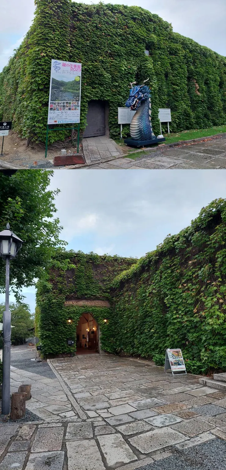 常春藤廣場-龍的展覽即將登場