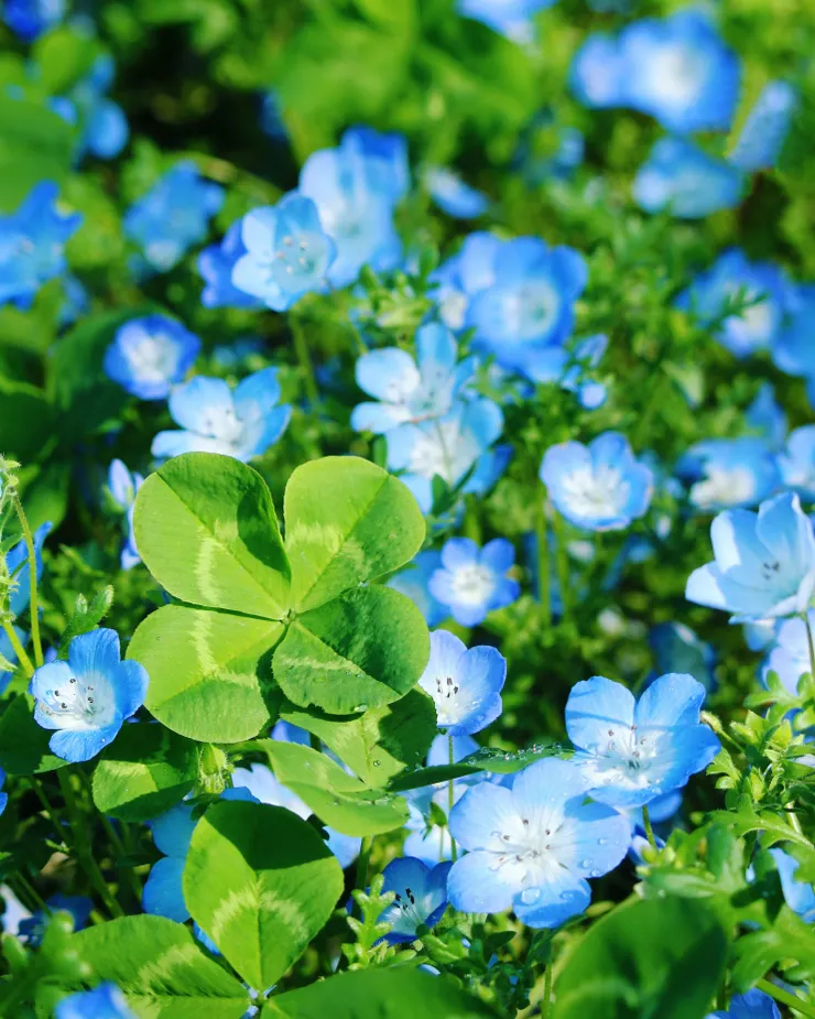 tomoko-uji-NqbMb5mnmrA-unsplash