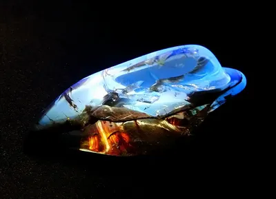 Joanne chen的沙龍