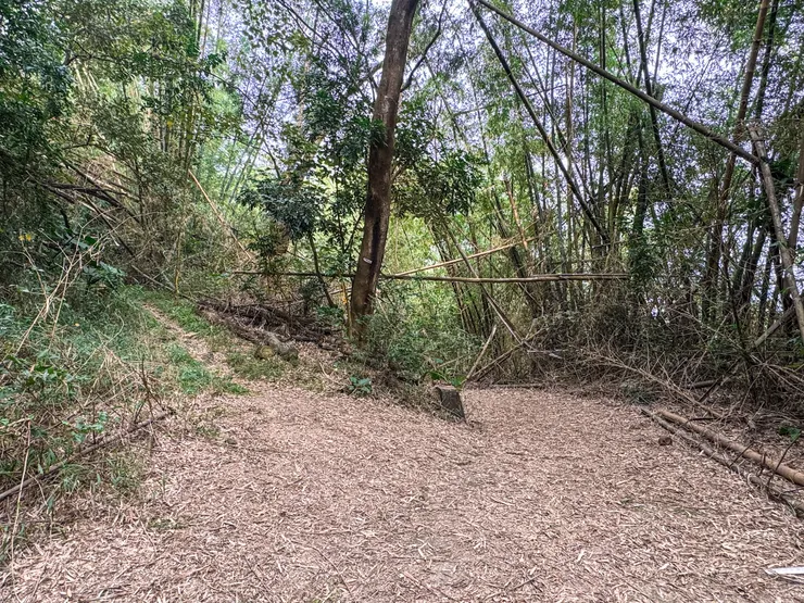15:08 抵逹月光山三叉路口，左邊往月光山約單程1.16公里。右邊是往月光山登山口停車場