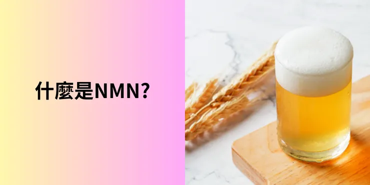 什麼是NMN