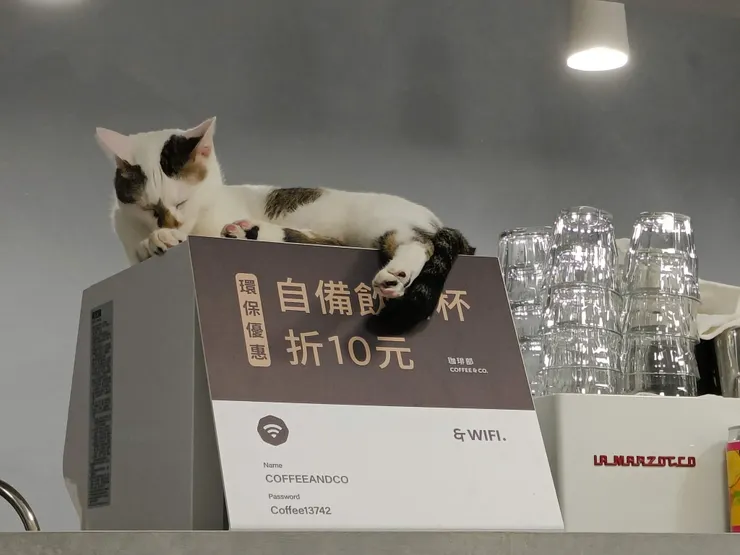 準備進入睡眠模式