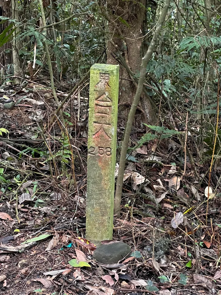 坪林林道位於台大實驗林場內