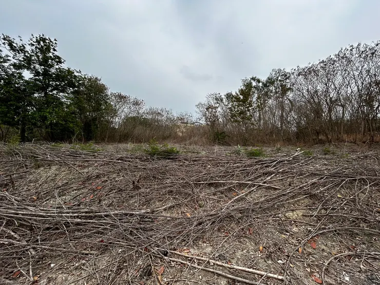 圖片來源/台灣房屋三多捷運加盟店
