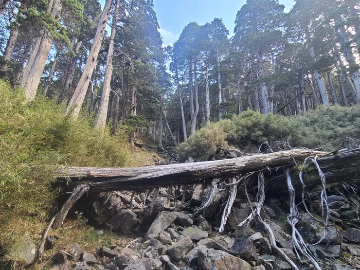 乾河道左側離開