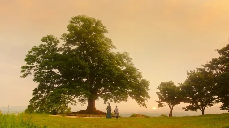 韓劇《還魂》劇照