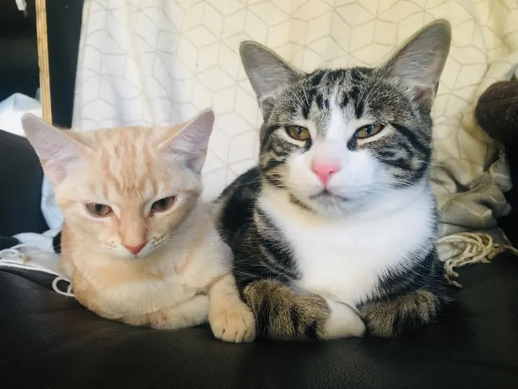 Sunny哥也很愛使用縮略詞