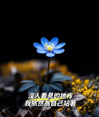 堅持好難，但我選擇再撐一下