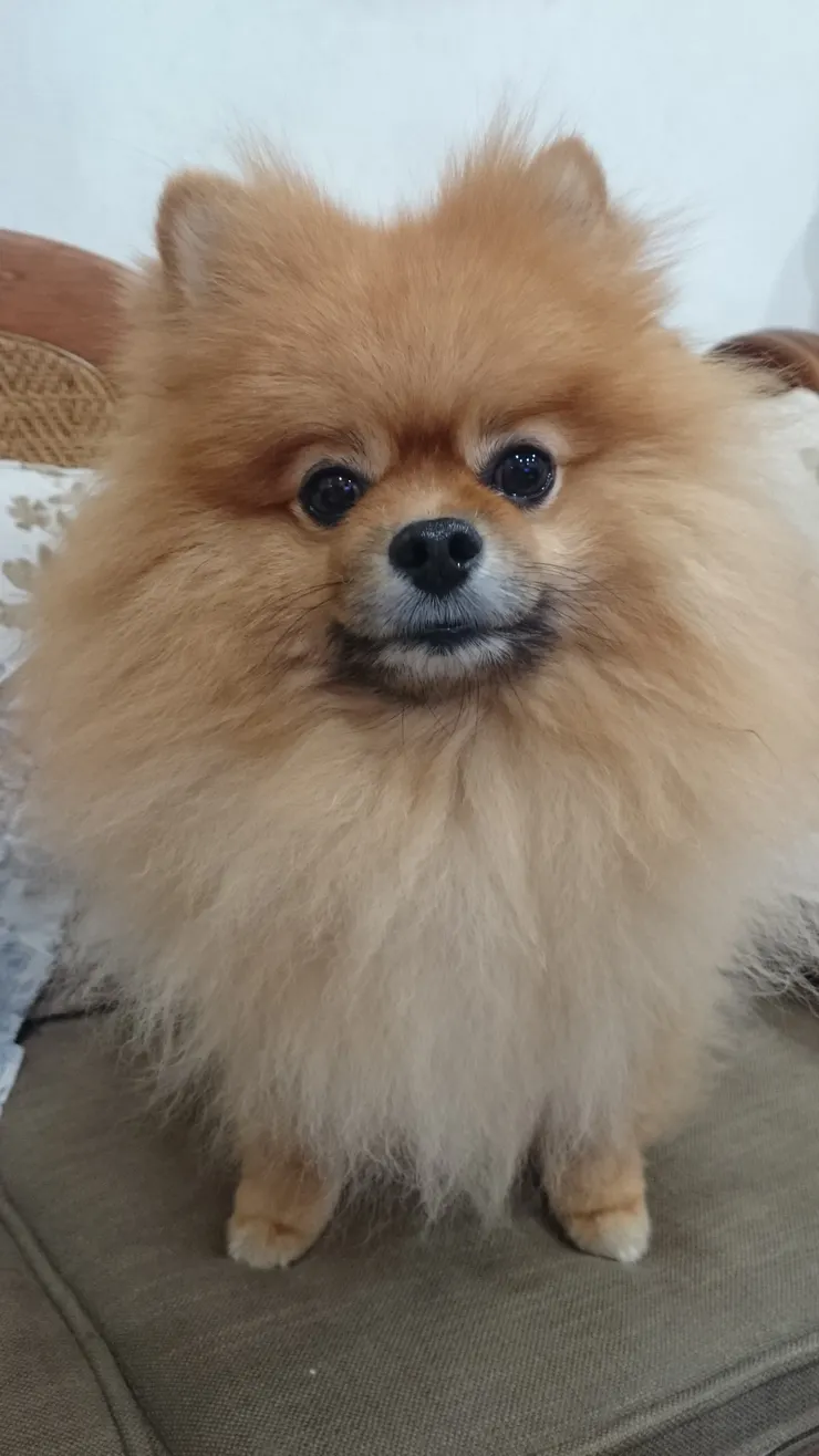 是不是? 就算隨便還是帥