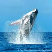 Look(路克)的沙龍