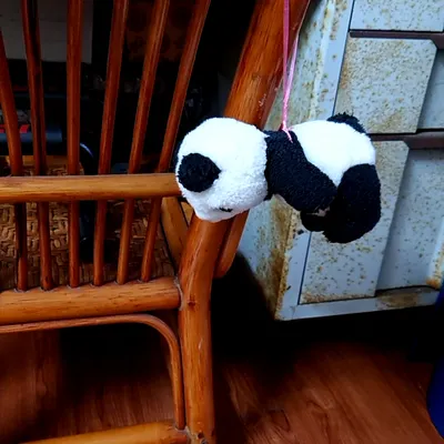 眠眠兔的賭市打滾記