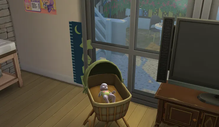 第三胎出生了...